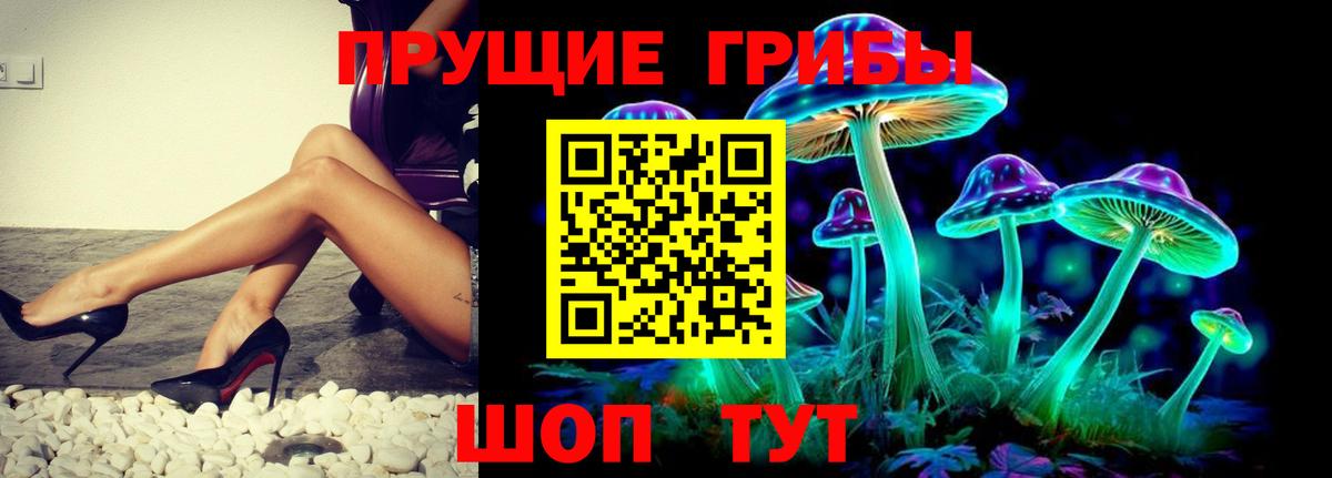 Псилоцибиновые грибы Psilocybine cubensis Уссурийск