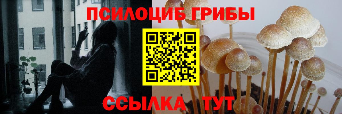 Псилоцибиновые грибы Cubensis  Вход с VPN  Уссурийск 